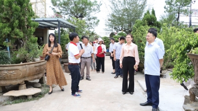 Một làng nghề cây cảnh ở Hà Nội thu hút 200.000 lượt khách du lịch