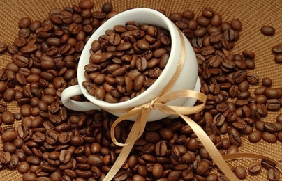 Giá cà phê hôm nay 26/11: Thị trường tiếp tục đà tăng