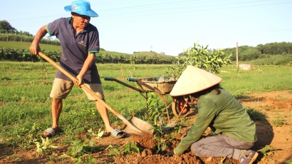 Vực lại vựa cam Cao Phong: Tạo quỹ đất an toàn cho chu kỳ mới