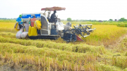 Vĩnh Thuận tạo đột phá cho liên kết sản xuất lúa, tôm