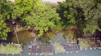 Thừa Thiên - Huế: Triển khai mô hình nuôi thủy sản vượt lũ
