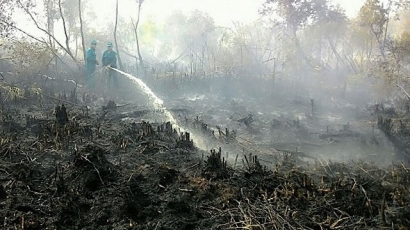 Cà Mau: Cháy rừng tại Nông trường 402 đã được dập tắt
