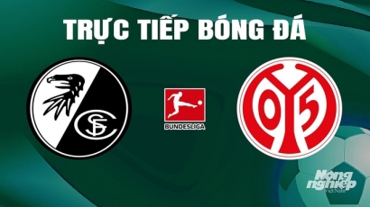 Trực tiếp Freiburg vs Mainz 05 giải Bundesliga trên On Sports News ngày 22/4