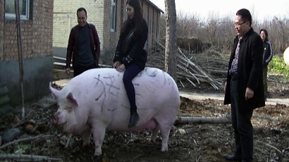 Chính sách kìm giá thịt lợn ở Trung Quốc tiềm ẩn nhiều rủi ro