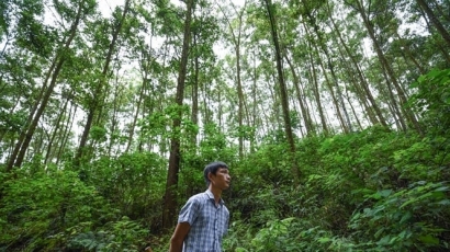 Bắc Giang chi trả 3,4 tỷ đồng tiền dịch vụ môi trường rừng