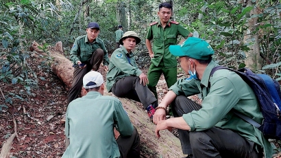 Những khó khăn 'khó tháo' của doanh nghiệp quản lý, bảo vệ rừng
