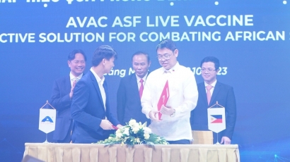 Việt Nam chính thức xuất khẩu vacxin dịch tả lợn Châu Phi