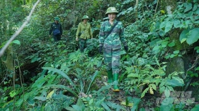 Kỳ bí rừng Nam Xuân Lạc: [Bài 2] Chuyến đi xuyên 18km đường rừng