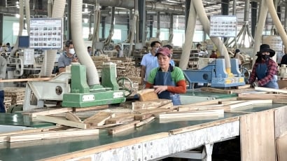 'Sinh lộ' của ngành gỗ Việt: [Bài 2] Từ quản lý rừng bền vững đến chống phá rừng