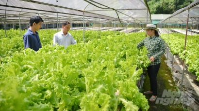 Đông Nam bộ hướng đến phát triển nông nghiệp công nghệ cao, sinh thái, hữu cơ