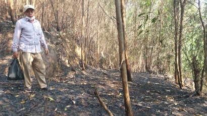 Quảng Nam đề nghị hỗ trợ 25 tỷ đồng phòng cháy chữa cháy rừng