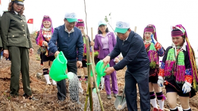 Quảng Ninh trồng 5 triệu cây xanh trong năm 2024