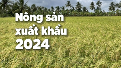 Vị thế gạo Việt ở thị trường Philippines đang bị cạnh tranh gay gắt