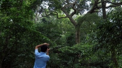 Hà Nội có 10 triệu người nhưng chỉ có hơn 18.500 ha rừng