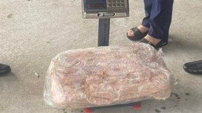 Thu giữ hơn 1 tấn nầm lợn đông lạnh không rõ nguồn gốc