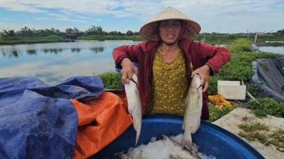Dân làng xúm tay 'giải cứu' 4 tấn cá bị chết cho chủ đầm