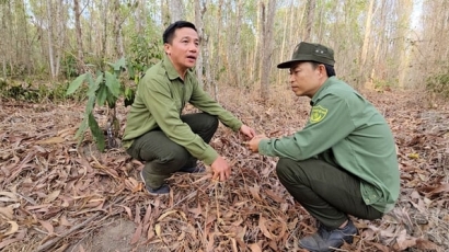 Gác lửa rừng 'nóng'