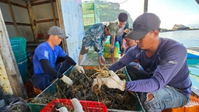 Gỡ nút thắt nghề nuôi tôm hùm [Bài cuối]: Hướng truy xuất nguồn gốc nuôi biển