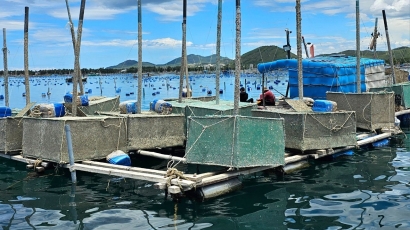 Phú Yên loay hoay giải tỏa, sắp xếp lồng bè nuôi trồng thủy sản