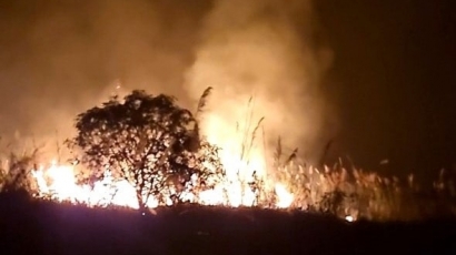 Cháy rừng ở huyện Yên Minh đã được khống chế