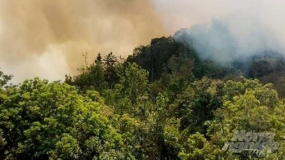 2 người tử vong, 5 người bị thương trong vụ cháy rừng ở Hà Giang