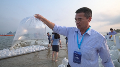 Đưa 5 triệu con giống thủy sản xuống biển Quảng Ninh
