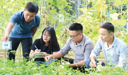 Nhật Bản hỗ trợ phần mềm kế toán và quản lý sản xuất nông nghiệp