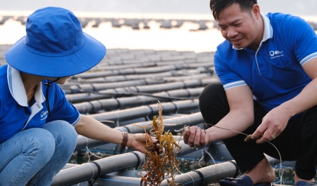 Quảng Ninh 'trải thảm đỏ' thu hút nhà đầu tư nuôi biển
