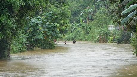 Lào Cai mưa lớn kéo dài, có nơi ngập cả mét