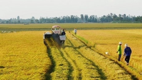 Bị thu hồi đất nông nghiệp có thể được bồi thường bằng đất ở, nhà ở