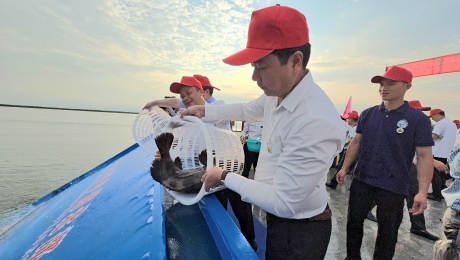 Việt Nam và Trung Quốc thả 128 triệu con giống thủy sản tại Vịnh Bắc bộ
