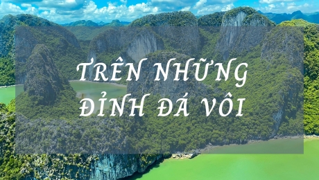 Sinh thái Việt Nam [Tập 1]: Trên những đỉnh đá vôi