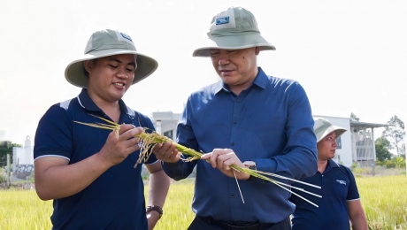 ‘Canh tác lúa bền vững hướng đến tương lai’ tại Đồng bằng sông Cửu Long