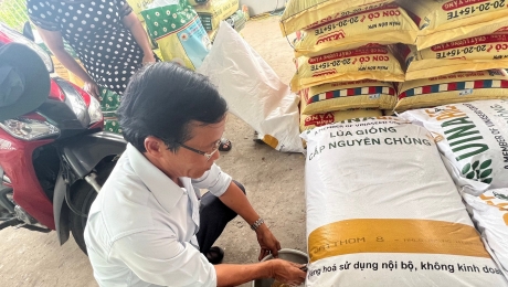 Phát hiện hơn 40 tấn lúa giống có nhãn hàng hóa không đúng quy định