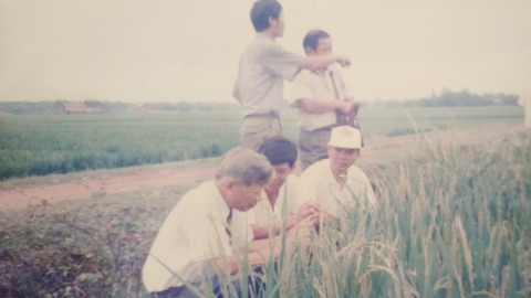 Chuyện Bộ trưởng Nguyễn Công Tạn đưa lúa lai về Việt Nam