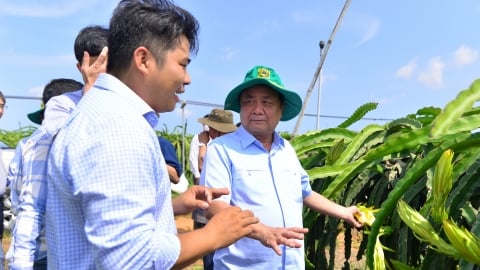Bộ trưởng Lê Minh Hoan thăm trang trại thanh long hữu cơ hiện đại