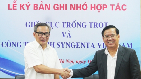 Cục Trồng trọt hợp tác cùng Syngenta Việt Nam phát triển bền vững ngành trồng trọt