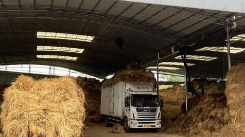 Trung Quốc biến 'phế phẩm nông nghiệp' thành nguồn thu ổn định