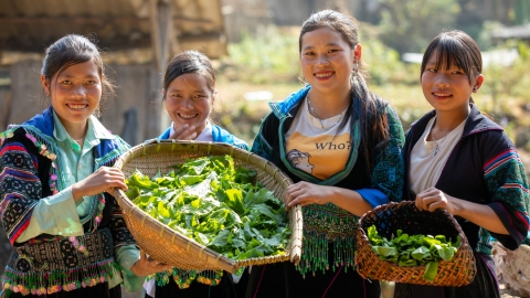 Tổ chức quốc tế chung tay hỗ trợ Việt Nam chuyển đổi hệ thống lương thực thực phẩm