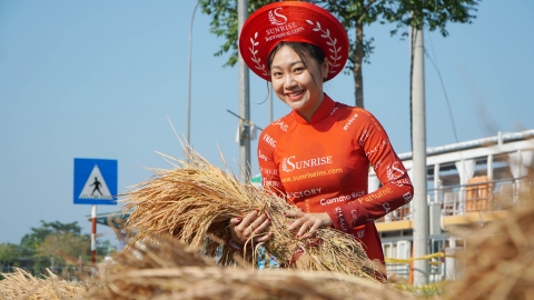 Con đường lúa gạo Việt Nam: Cầu nối về miền ký ức