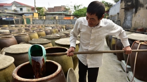 Sản xuất nước mắm truyền thống: Hạn chế và giải pháp khắc phục