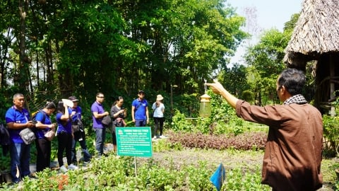 HTX lớn nhất Philippines học kinh nghiệm làm nông nghiệp ở Việt Nam