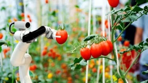 Robot nông nghiệp phát triển mạnh ở Trung Quốc