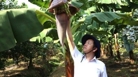 Doanh nhân Phạm Quốc Liêm: 'Trường trong farm' lan tỏa vẻ đẹp nông nghiệp