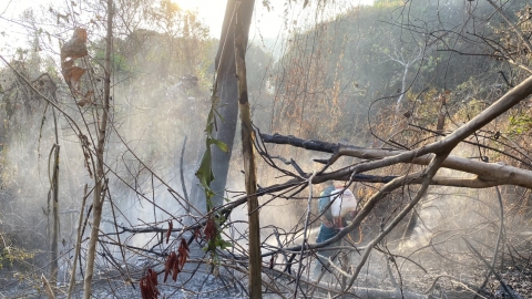 Huy động hơn 500 người chữa cháy rừng ở Tri Tôn