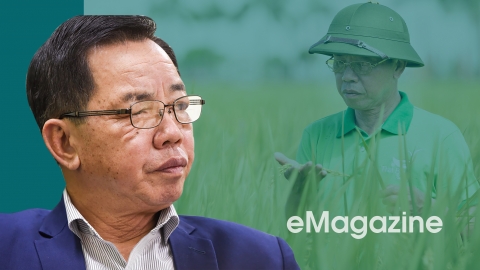 Anh hùng Trần Mạnh Báo - Người trồng lúa cho quê hương