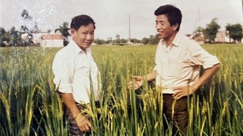 Đôi điều về vụ lúa xuân ở miền Bắc Việt Nam