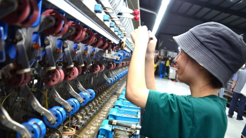 Tằm Việt sau hàng thập kỷ ngủ đông đã thức giấc: Nhà máy tơ cứu cả vùng nguyên liệu