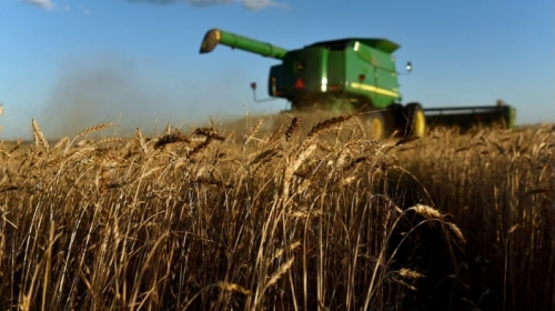 US wheat farmers face bleak crop economics as grain oversupply hits