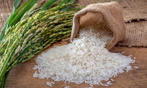 Phân tích: Những yếu tố thúc đẩy giá gạo trên thế giới thời gian tới